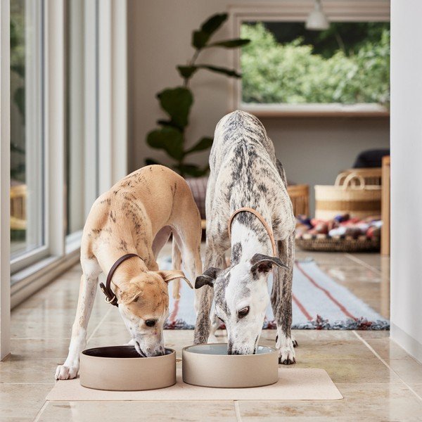 Keramická miska pre psa ø 17 cm Sia – OYOY Living Design-image-3