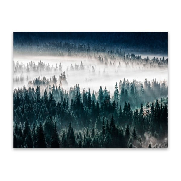 Obraz Styler Glasspik Misty Forest, 80 × 120 cm