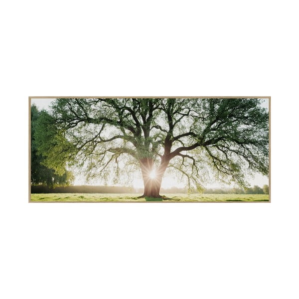 Obraz 150x60 cm Tree in the Sun