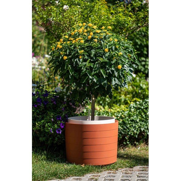 Hnedočervený samozavlažovací kvetináč Plastia Berberis, 55 cm-image-1