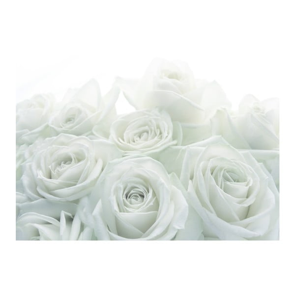 Tapeta Svadobná ruža, 400x280 cm