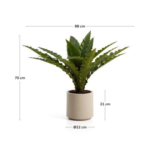 Umelý sukulent (výška  70 cm) Neottopteris – Kave Home-image-4