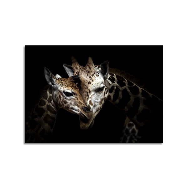 Obraz Styler Glas Animals Giraffe, 70 × 100 cm