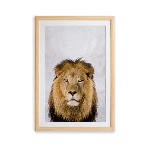 Nástenný obraz v ráme Surdic Lion, 30 x 40 cm