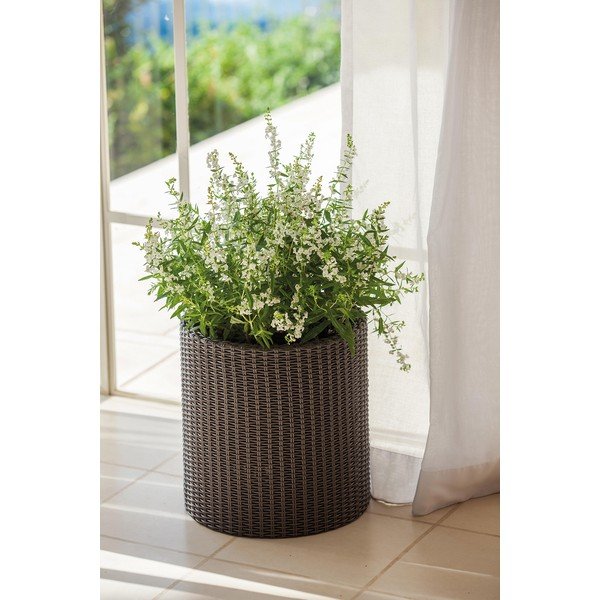 Plastový kvetináč ø 28 cm Cylinder – Keter-image-1