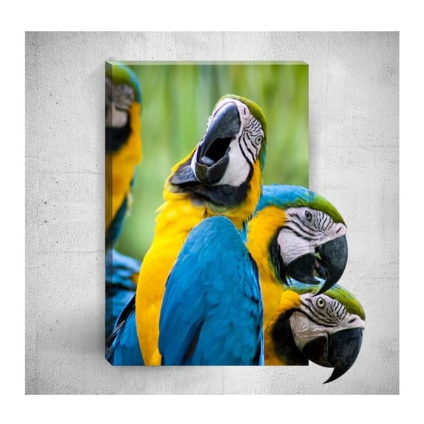 Nástenný 3D obraz Mosticx Parrots, 40 × 60 cm