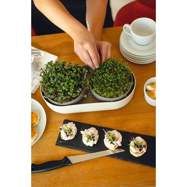 Súprava klíčiacich misiek Veľká farma Microgreens & Regrow - Plastia-image-3