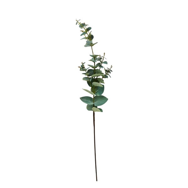 Umelý eukalyptus (výška  71 cm) Kvist – Villa Collection