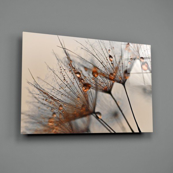 Sklenený obraz Insigne Cinnamon Dandelion, 72 x 46 cm-image-3