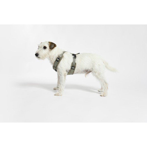 Zelený postroj veľkosť S dĺžka 30 cm Modena Grolive S – MiaCara-image-1