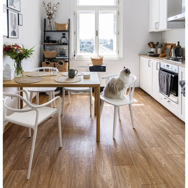 Súprava 2 bielych jedálenských stoličiek Bonami Selection Dali Chaur-image-1