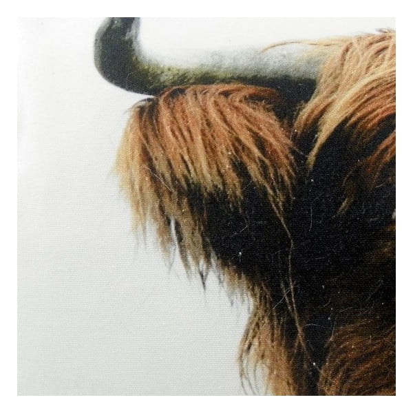 Vankúš Scottish Highlander 50x35 cm-image-1