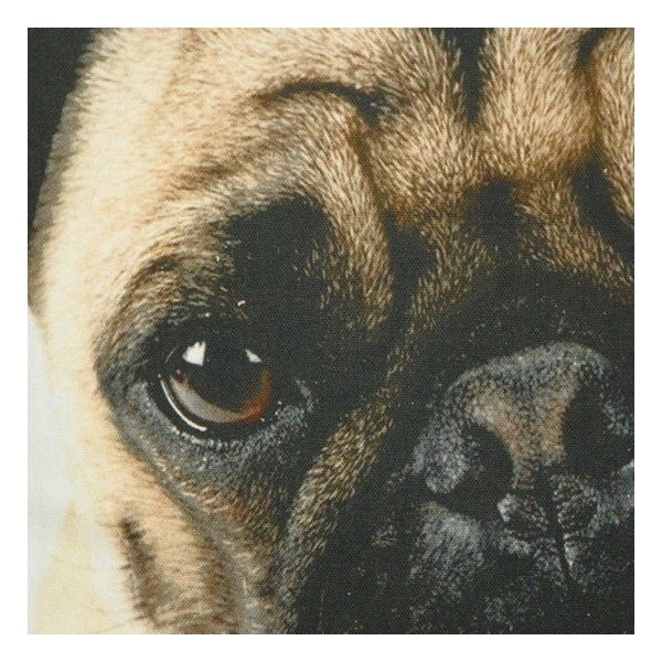 Vankúš Mars&More Pug, 50 x 50 cm-image-1