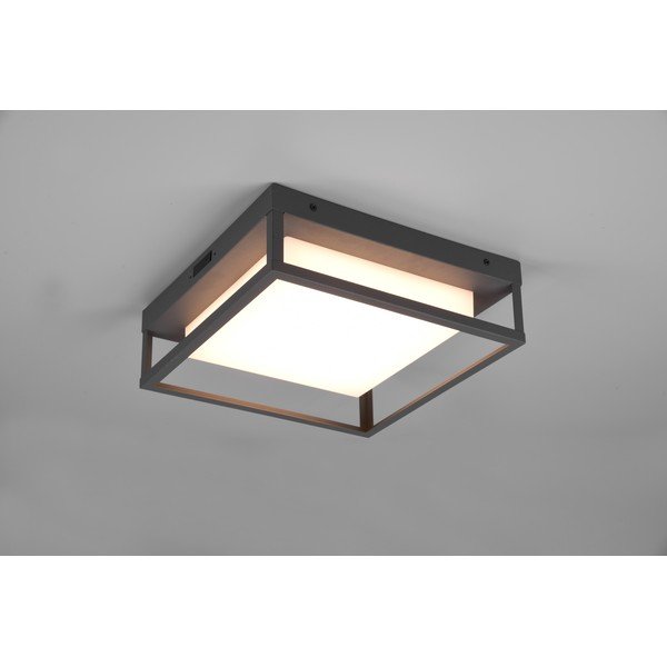 LED nástenné vonkajšie svietidlo (výška 10 cm) Witham - Trio-image-2