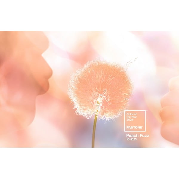 Oranžový keramický hrnček 175 ml Cortado Peach Fuzz 13-1023 – Pantone-image-2