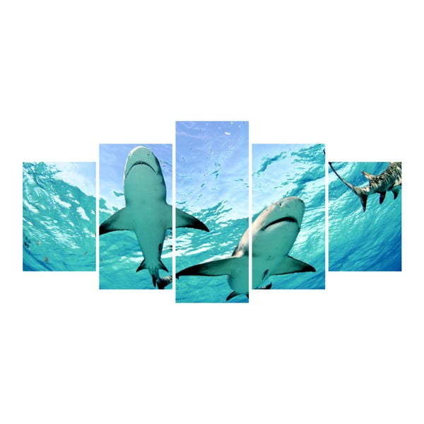 Viacdielny obraz La Maison Des Couleurs Sharks