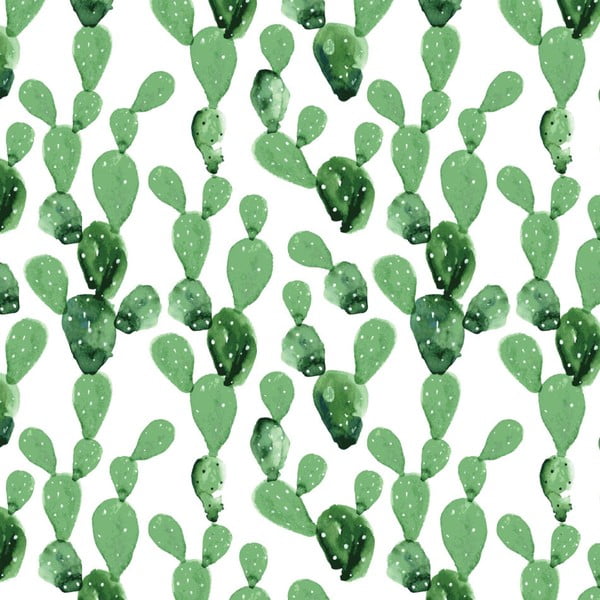 Tapeta na stenu Dekornik Cactus, 50 x 280 cm