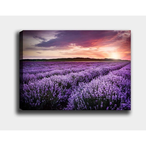 Obraz 100x70 cm Lavender Field – Wallity-image-2