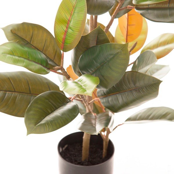 Umelý fikus (výška 90 cm) Ficus – Ixia-image-2