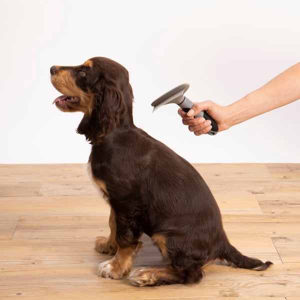 Kefa pre domáceho miláčika – Love Story-image-1