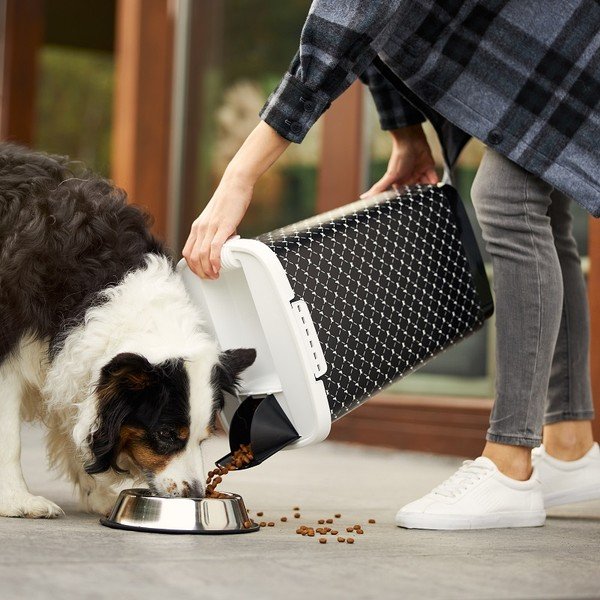 Čierny box na granule 50 l Cody - Rotho-image-1