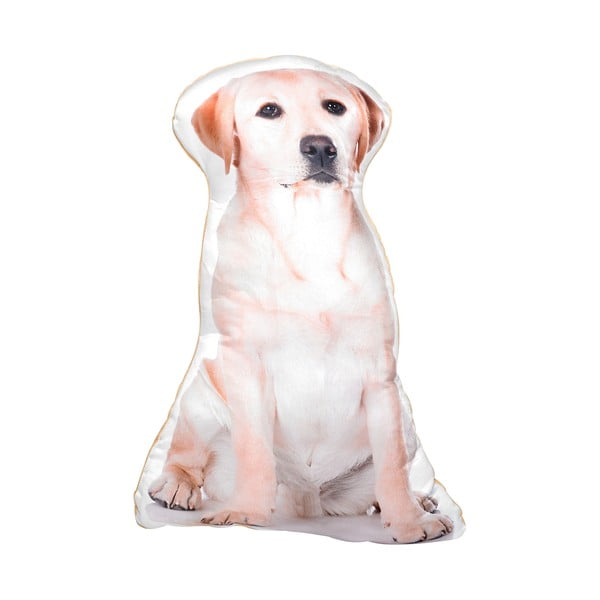 Vankúšik s potlačou Zlatého labradora Adorable Cushions