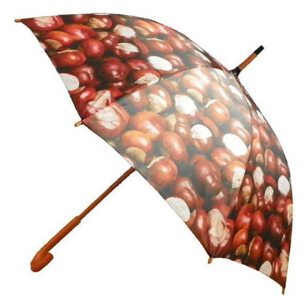 Dáždnik Chestnust All Over