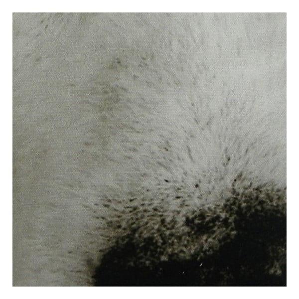Vankúš Sepia Wolf 50x35 cm-image-1
