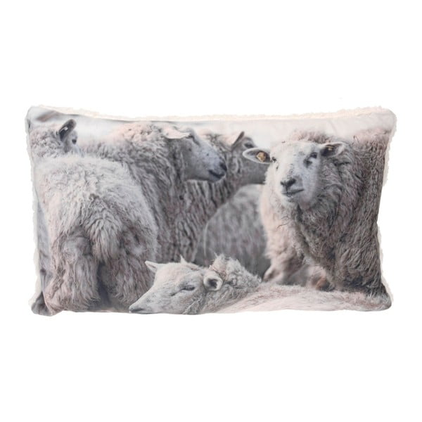 Vankúš Home Collection Sheeps, 30 x 50 cm
