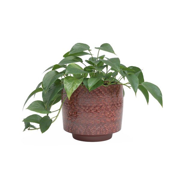 Keramický ručne vyrobený obal na kvetináč ø 21 cm Minerva – Artevasi