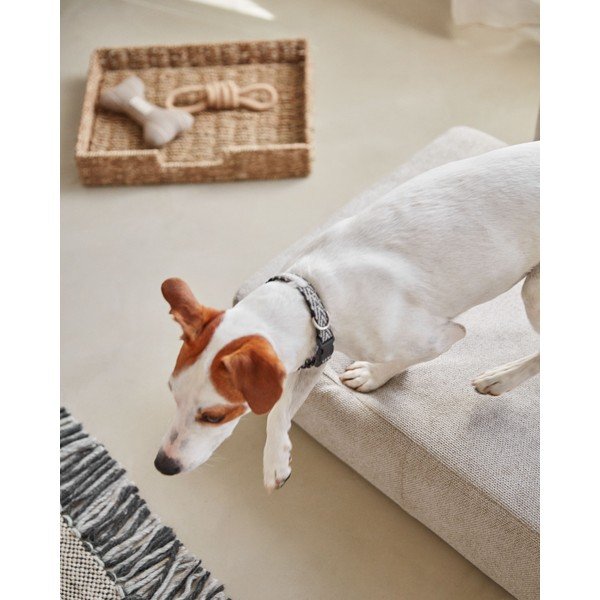 Béžový pelech pre psov 73x60 cm Bowie - Kave Home-image-2