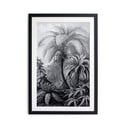 Čierno-biely plagát Surdic Palm, 60 x 40 cm
