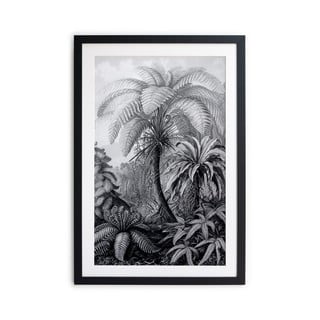 Čierno-biely plagát Surdic Palm, 60 x 40 cm