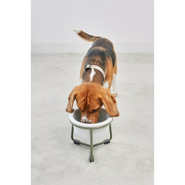 Porcelánová miska s podstavcom pre psa ø 20 cm Pranzo Grolive M – MiaCara-image-1