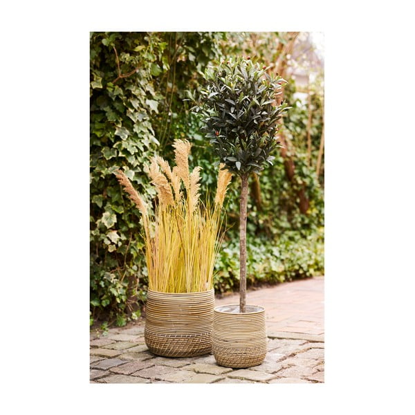 Ratanové košíky v súprave 2 ks ø 39x35 cm Moro – House Nordic-image-2