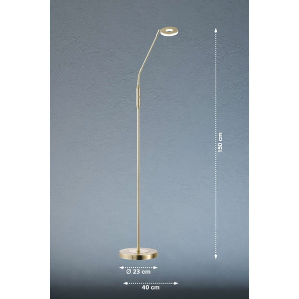 LED stmievateľná stojacia lampa v zlatej farbe (výška 150 cm) Dent – ​​Fischer & Honsel-image-2