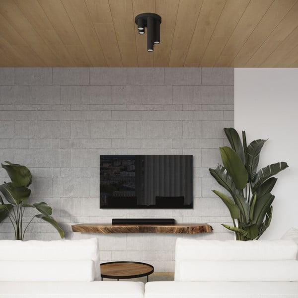 Čierne stropné svietidlo Castro – Sollux-image-4