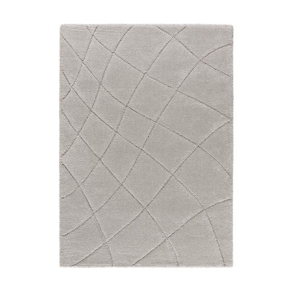 Svetlosivý koberec 60x120 cm Molier – Universal