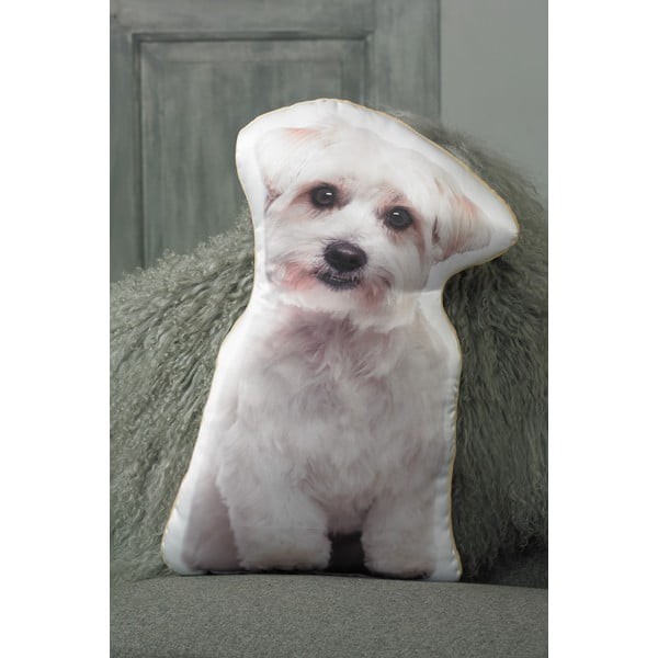 Vankúšik s potlačou Maltezáčika Adorable Cushions-image-1