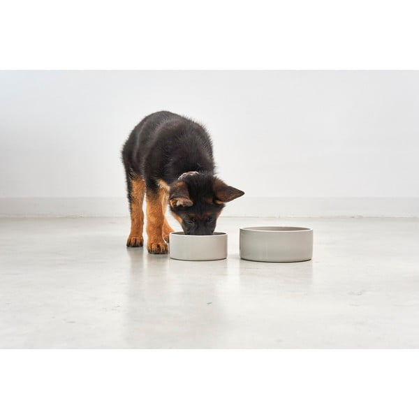 Porcelánová miska pre psa ø 20 cm Scodella Greige M/L – MiaCara-image-1
