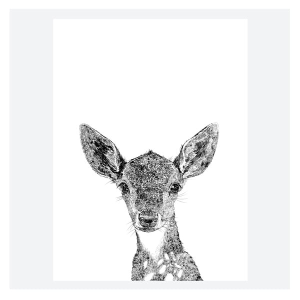 Plagát Darcy The Deer, 30x40 cm
