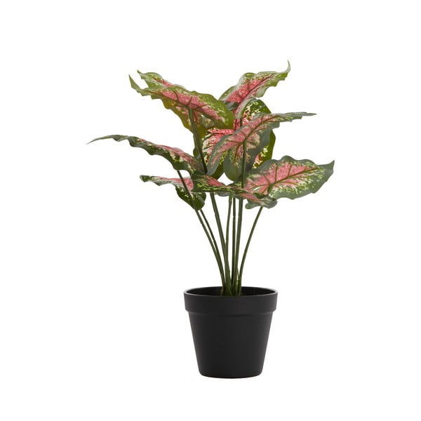 Umelá rastlina (výška 40 cm) Caladium – Light & Living