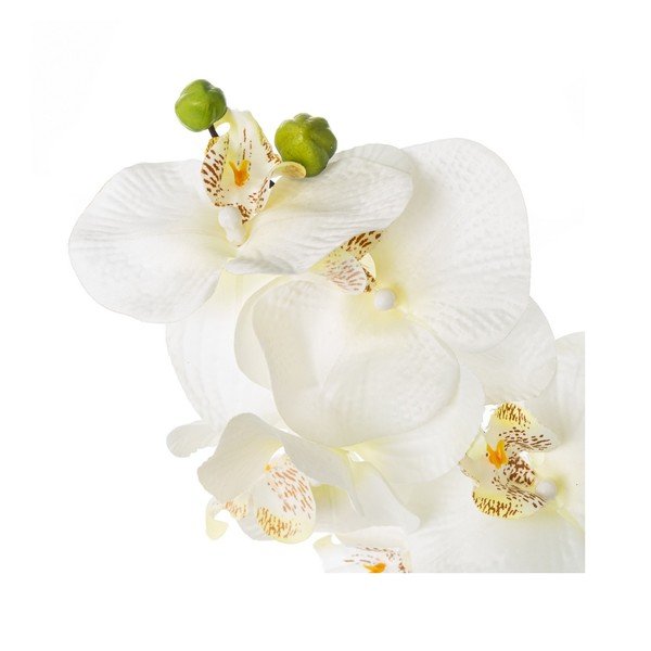 Umelá rastlina (výška  45 cm) Orchid – Casa Selección-image-1
