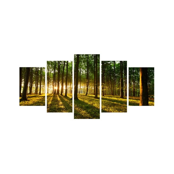 5dielny obraz Medzi stromami