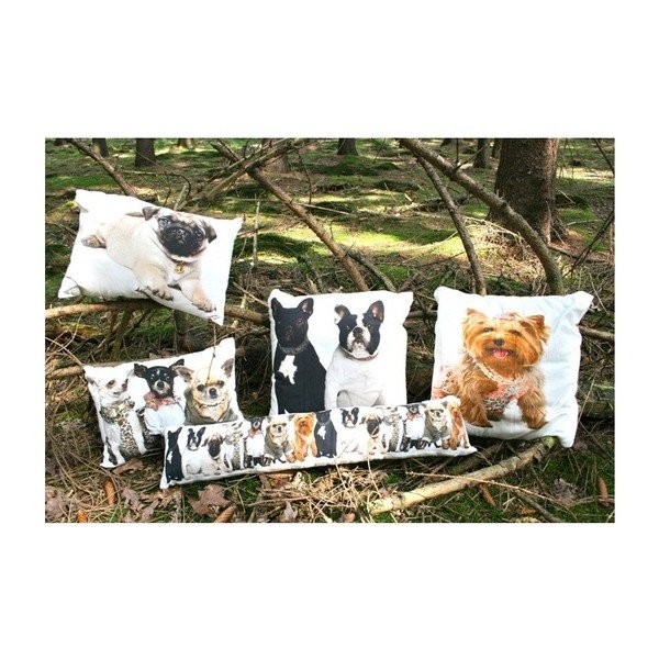 Vankúš Chihuahuas 35x50 cm-image-2