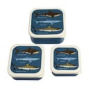 Tmavomodré detský desiatový box 3 ks Sharks – Rex London