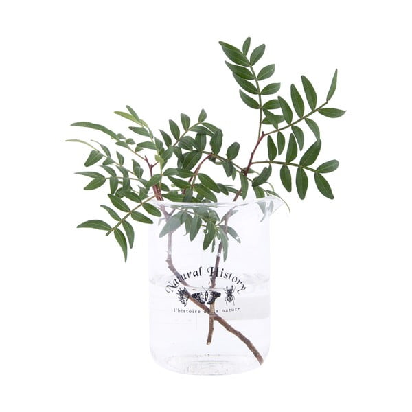 Sklenená váza (výška 12 cm) Natural History – Esschert Design-image-1