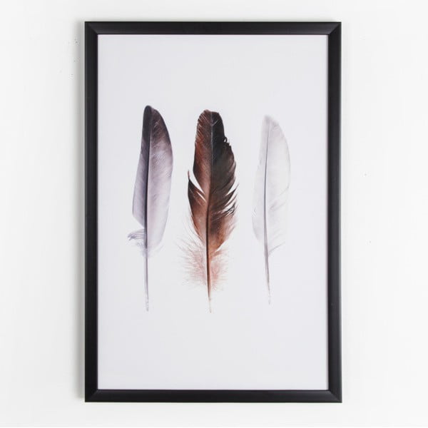 Obraz Graham & Brown Feather Trio, 40 × 60 cm