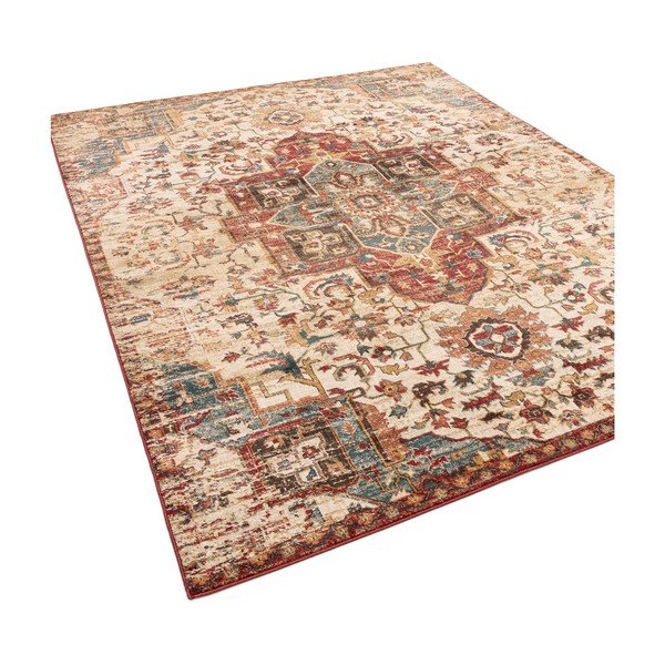 Koberec 120x160 cm Raja – Asiatic Carpets-image-3