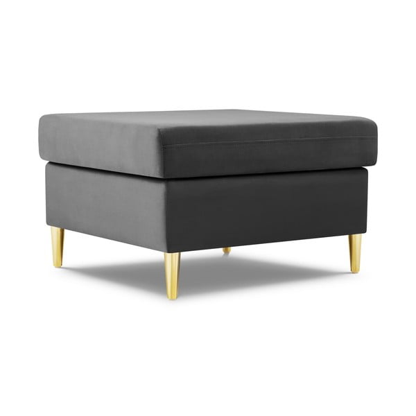 Svetlosivá zamatová podnožka Kyoto – Cosmopolitan Design-image-1